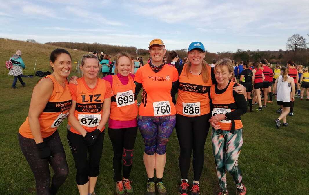 Striders out in force at the Cross Country, Stanmer Park